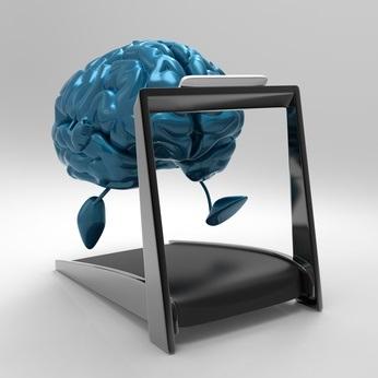 L'éducation et l'intelligence peuvent protéger la cognition, mais ne préviennent pas la maladie d'Alzheimer.