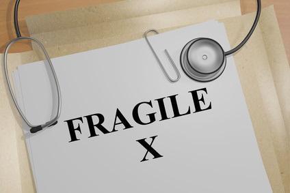 Les chercheurs rétablissent une partie des fonctions de la protéine FMRP impliquée X Fragile (Visuel Fotolia_159544725_XS X)