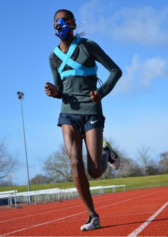 Une combinaison bien spécifique de capacités permet à ces athlètes de courir un marathon (>42 km) en moins de 2 heures (Visuel Université d'Exeter)
