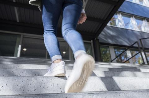 Même ces activités physiques simples, du quotidien, que l’on effectue sans même y penser, comme monter les escaliers par exemple, améliorent considérablement le bien-être (Markus Breig, KIT)