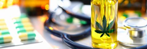 C’est la première étude à identifier une association très significative entre la consommation de cannabis et la prévalence de l’asthme  (Visuel Adobe Stock 297152964)