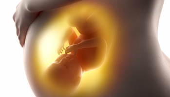 Chimiothérapie et grossesse : un risque de malformations congénitales augmenté au cours du premier trimestre