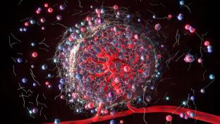 Représentation 3D du microenvironnement d'une tumeur. Nos cellules contiennent des milliers de protéines différentes, agissant comme des petites machines, afin d’accomplir une grande variété de processus cellulaires.