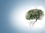 Une image contenant arbre, plante

Description générée automatiquement
