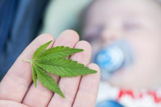 Cannabis en présence d'enfant.
