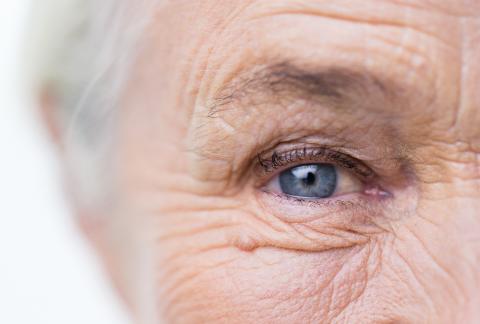 Comment cette seule protéine, la vitronectine, peut-elle déclencher la perte de vision liée à l'âge (Visuel Adobe Stock 91991055)