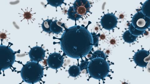 Combattre les tumeurs avec des bactéries magnétiques (Visuel Adobe Stock 184213300)