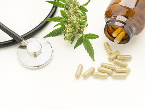 L'étude apporte de nouvelles preuves de l’efficacité du cannabis médical à se substituer aux traitements opioïdes dans la gestion à long terme de la douleur chronique (Visuel Adobe Stock 485714381)