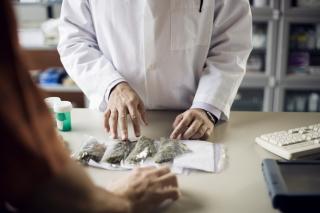 Pharmacien servant du cannabis à un patient