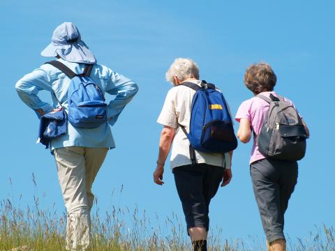 « Il n’y a pas de secret » : les personnes âgées qui restent plus actives ont une meilleure qualité de vie (Visuel Adobe Stock 24046743)